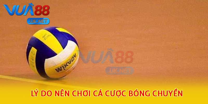 Lý do nên chơi cá cược bóng chuyền