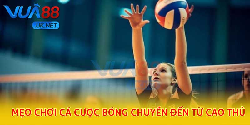Bật mí chi tiết luật chơi cá cược bóng chuyền