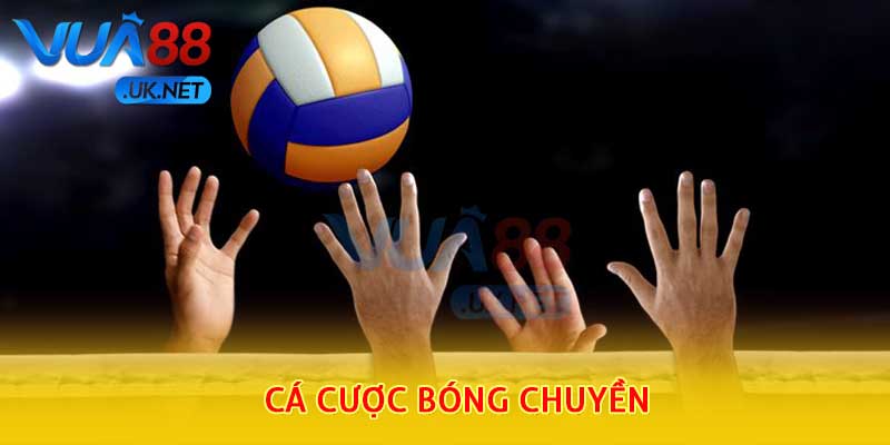 cá cược bóng chuyền