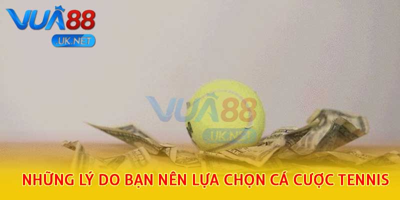 Những lý do bạn nên lựa chọn cá cược tennis