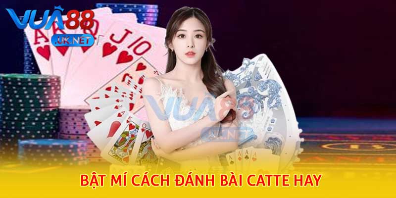 Bật mí cách đánh bài catte hay